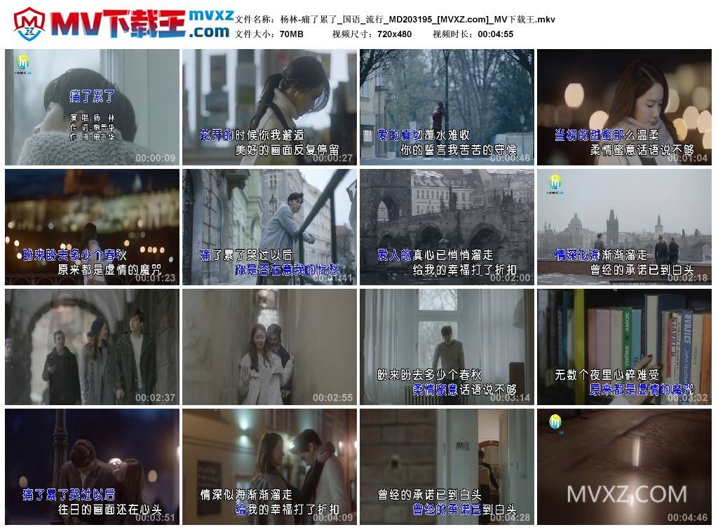 杨林-痛了累了_国语_流行_MD203195